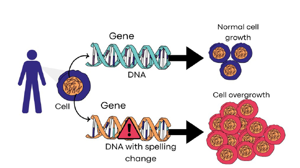 cancer genetics 1.jpg